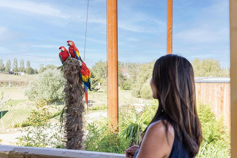 Parrot World - Les Lodges Crecy-la-Chapelle Zewnętrze zdjęcie