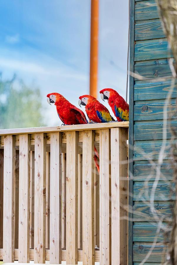 Parrot World - Les Lodges Crecy-la-Chapelle Zewnętrze zdjęcie